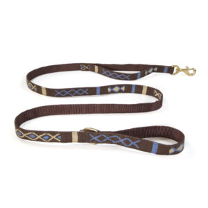 a tail we could wag Block Island pattern leash with traffic handle in coffee