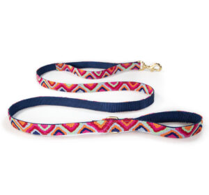 a tail we could wag Retro leash with traffic handle