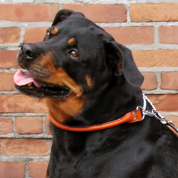 Rolled Leather Collars