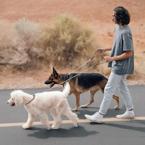 Leashes