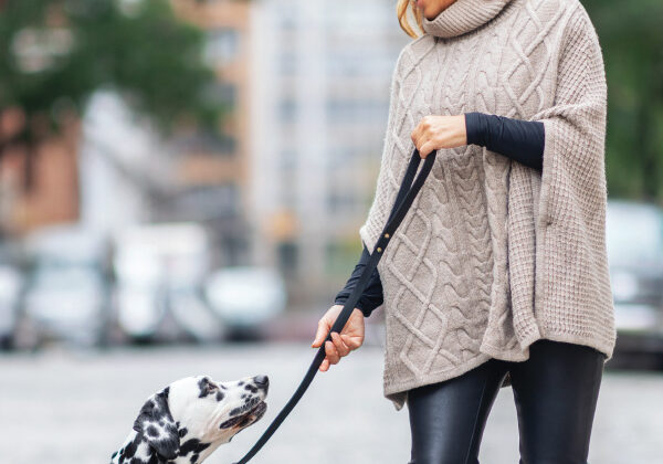 Leashes