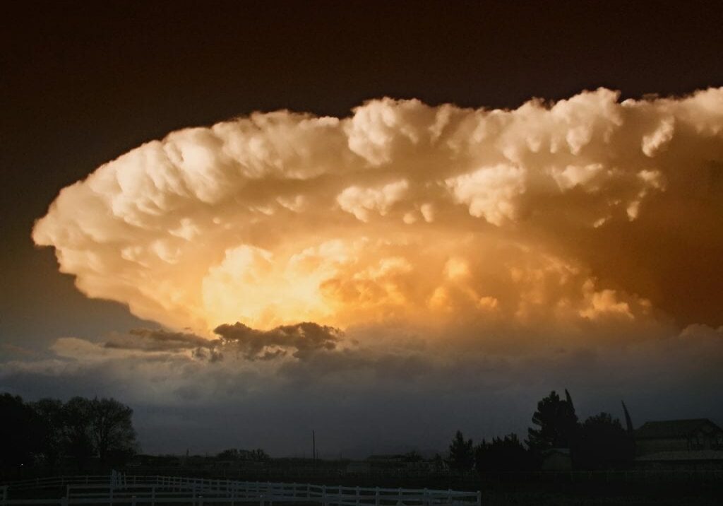 Pet Safety During Storms