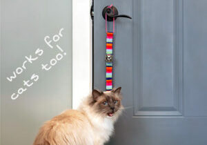 Potty bell training works for dogs, and cats too!